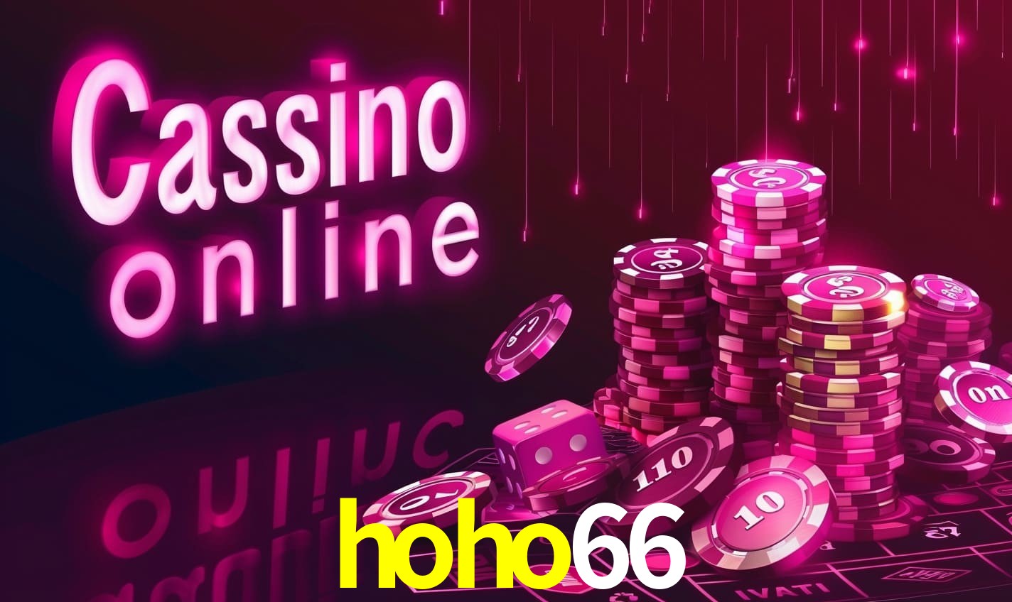 Programa VIP hoho66