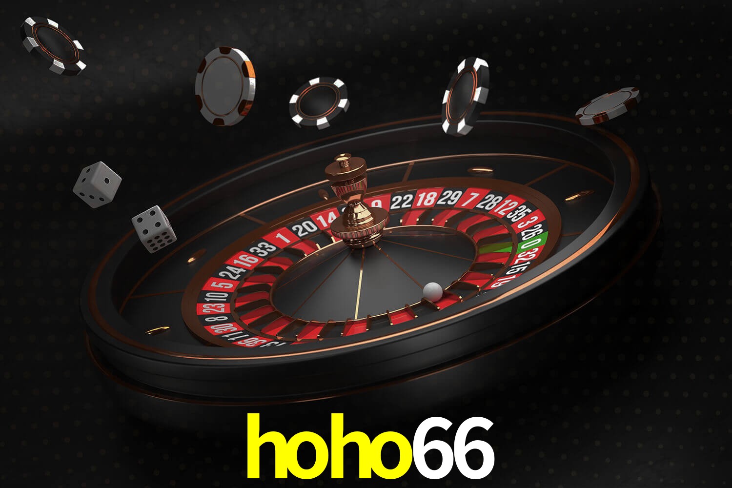 hoho66