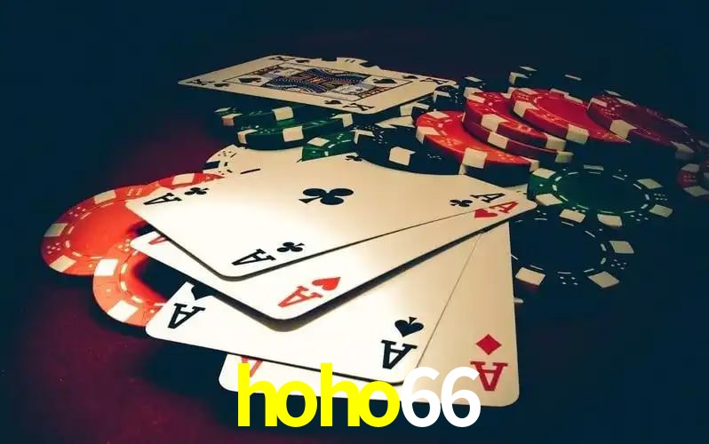 Promoção Relâmpago hoho66