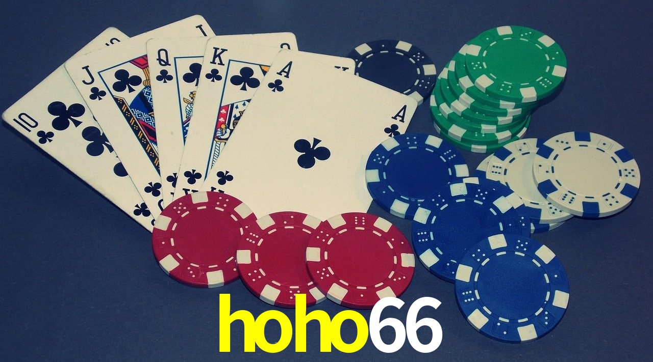 Casino Ao Vivo hoho66